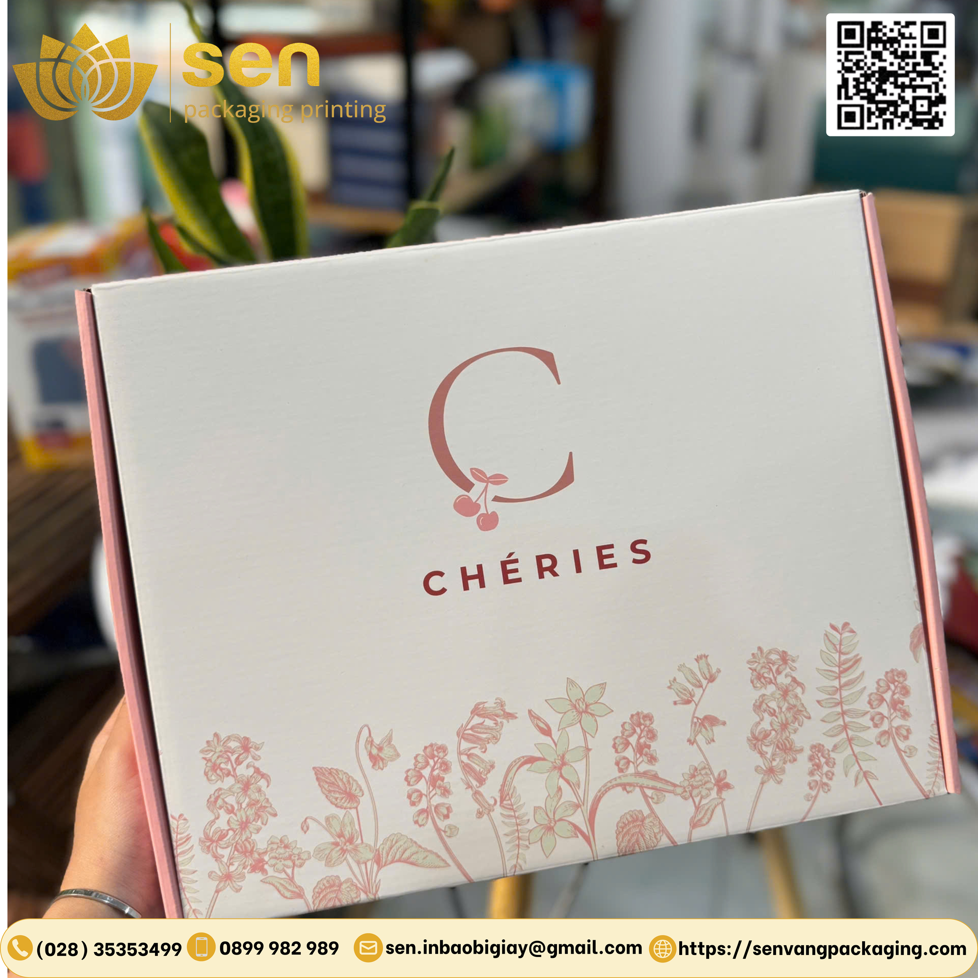 Hộp bồi carton 002