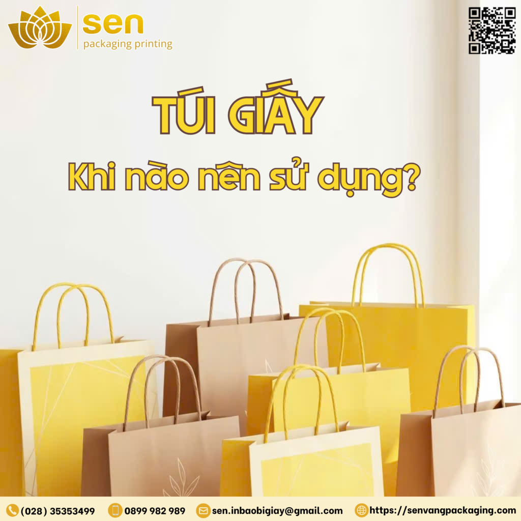 TÚI GIẤY (PAPER BAGS / SHOPPING BAGS)